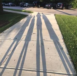 Meet your Posher, Tobey